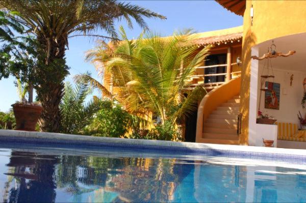 מלון Steviewonderland Playa El Yaque מראה חיצוני תמונה
